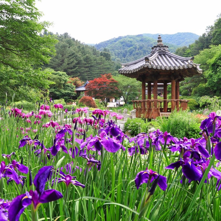 아침고요수목원